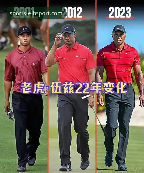 老虎伍兹药物驾驶事件深度解析：从传奇陨落到bsport体育平台上的体育人生百态